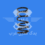 فنر لول 405 شرکتی (2 زرد+2 سبز )